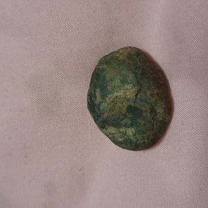 Petrified wood